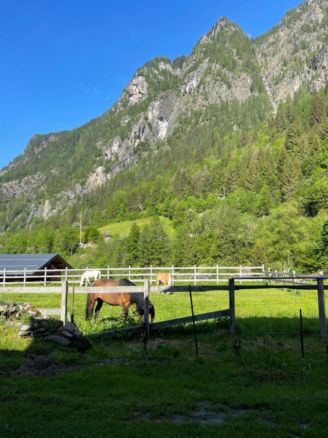 Bed And Breakfast Campo Base Carona  Bagian luar foto